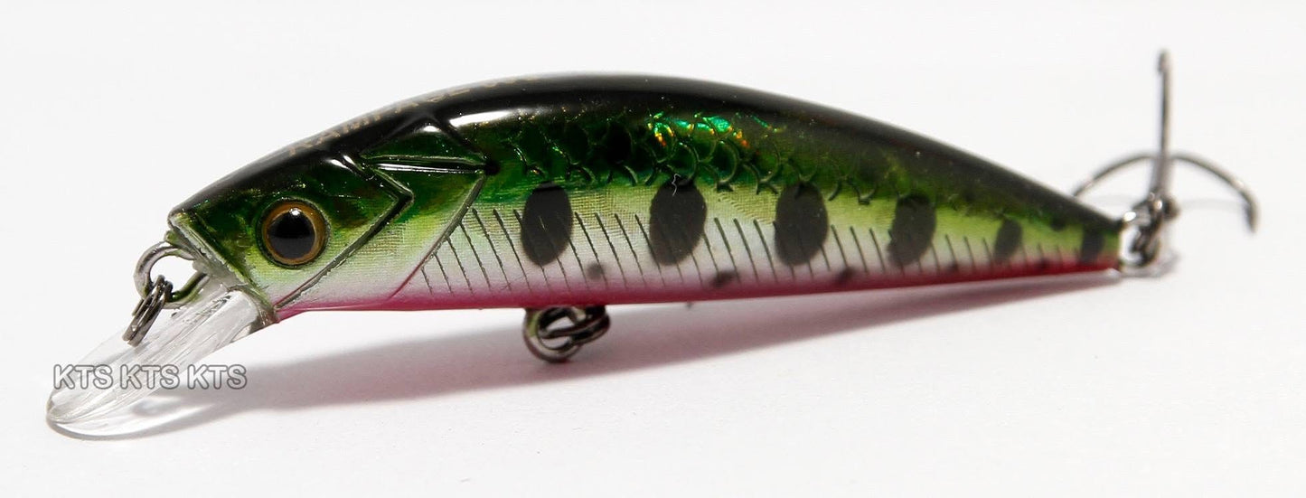 KTS rampage minnow