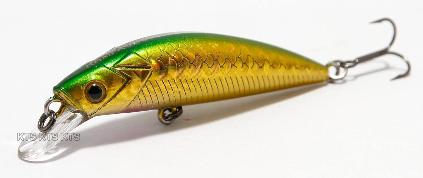 KTS rampage minnow