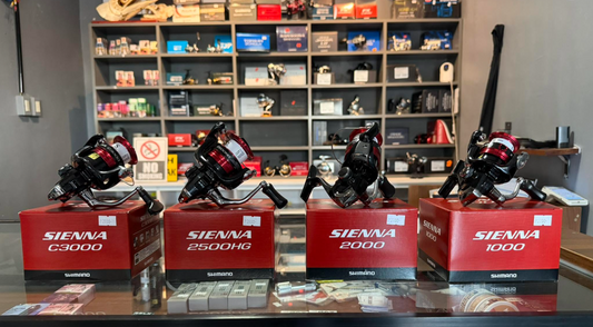 Shimano sienna